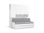 Compact Full/Full XL Sofa bed and Cabinets Wall System